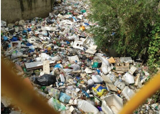 WhatsApp Image 2025-11-10 at 09.41.41_5d285e5a