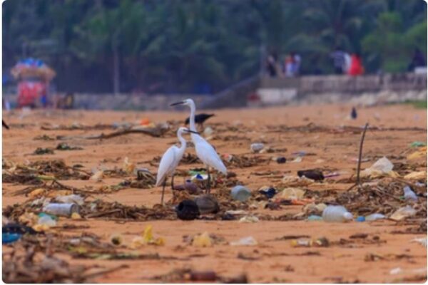 WhatsApp Image 2025-11-10 at 09.41.41_cfb341d1