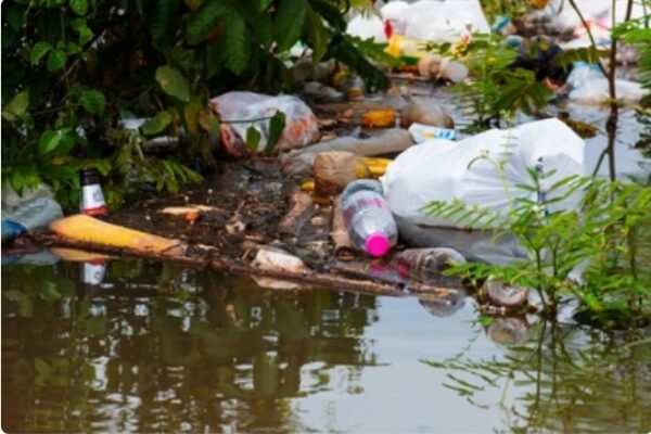 WhatsApp Image 2025-11-10 at 09.41.42_e4589b96